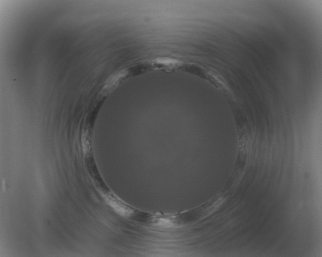 X0000081360285200701182121