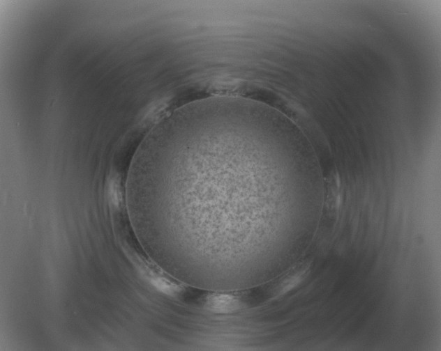 X0000081360287200701182121