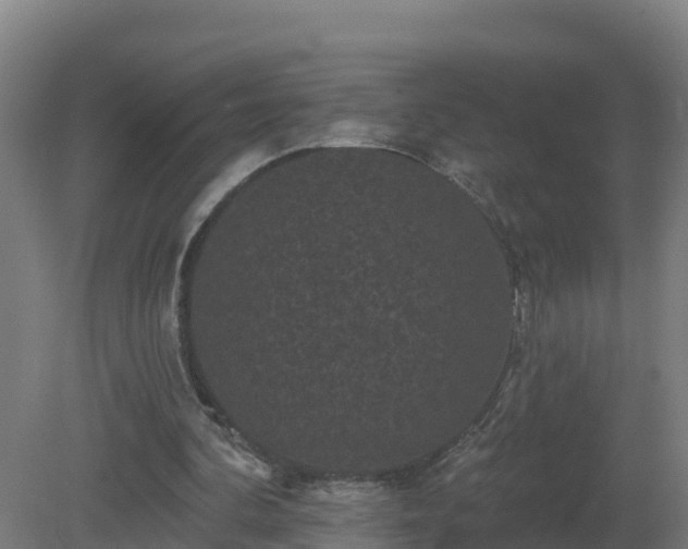 X0000081360292200701182120