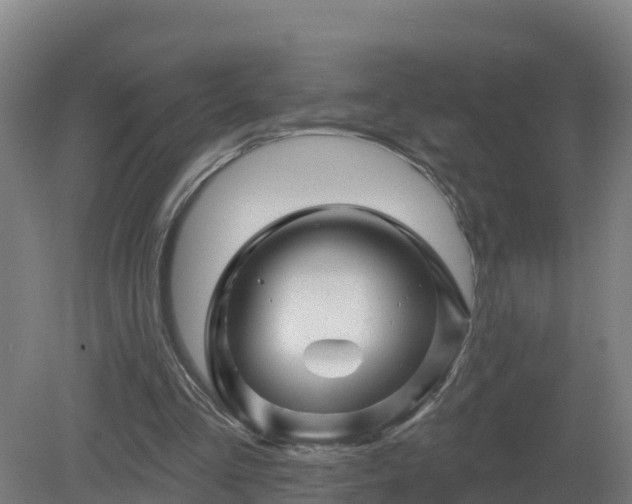 X0000081360293200701182120