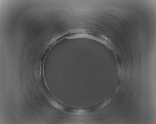 X0000081360301200701182120