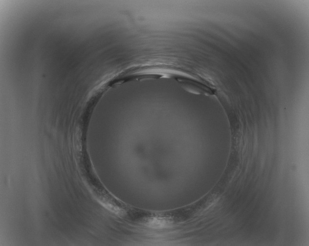 X0000081360303200701182120