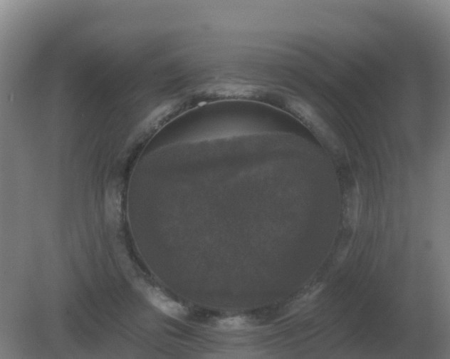 X0000081360309200701182120