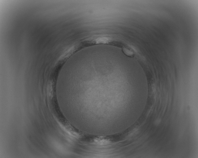 X0000081360311200701182120