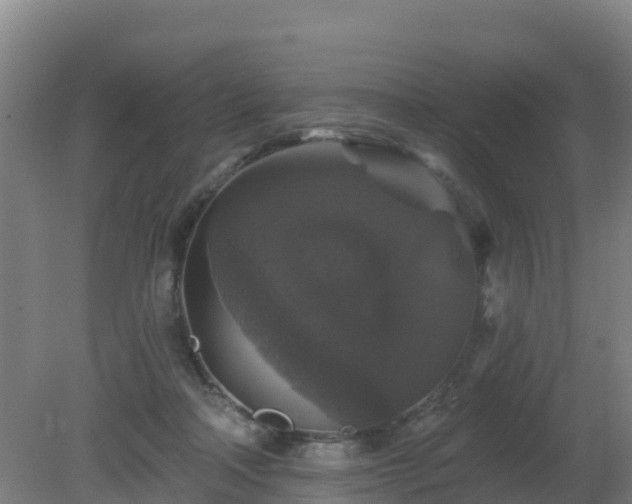 X0000081360314200701182119