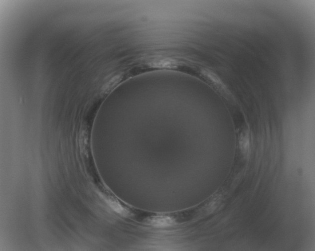 X0000081360322200701182119