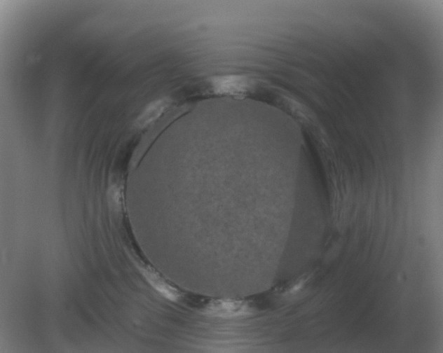 X0000081360329200701182119