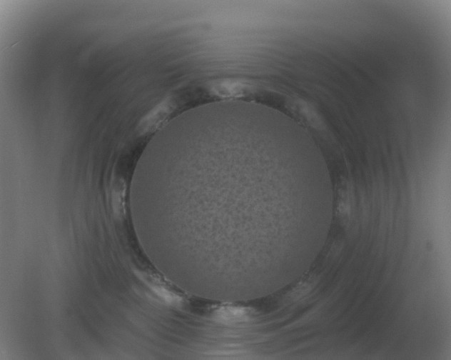 X0000081360332200701182119