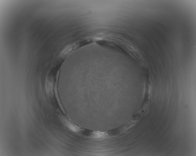 X0000081360333200701182119