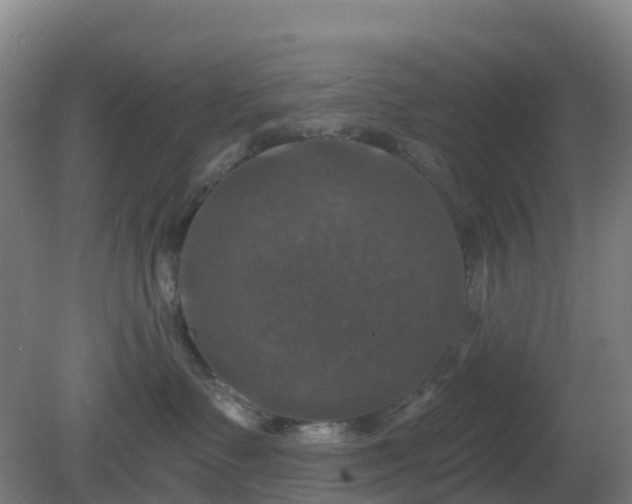 X0000081360335200701182119