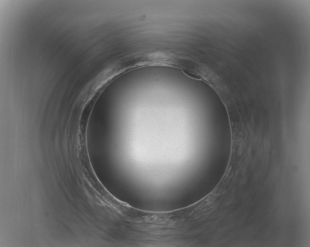 X0000081360338200701182118