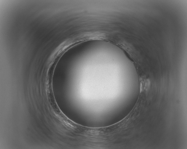 X0000081360339200701182118