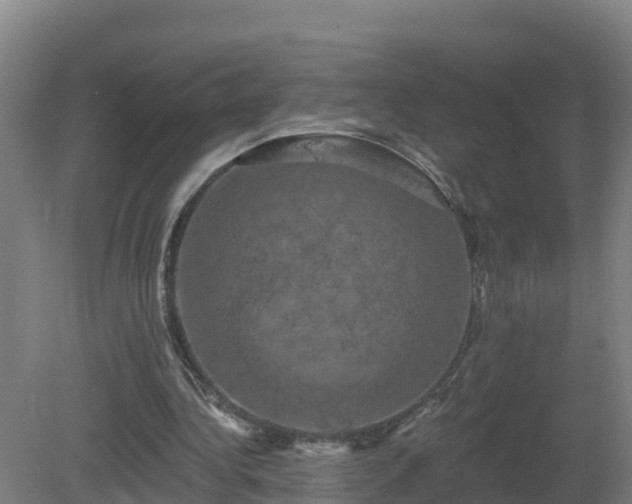 X0000081360340200701182118