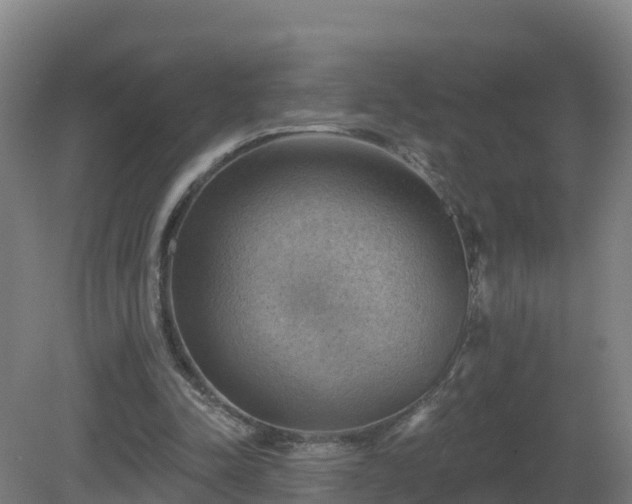 X0000081360342200701182118
