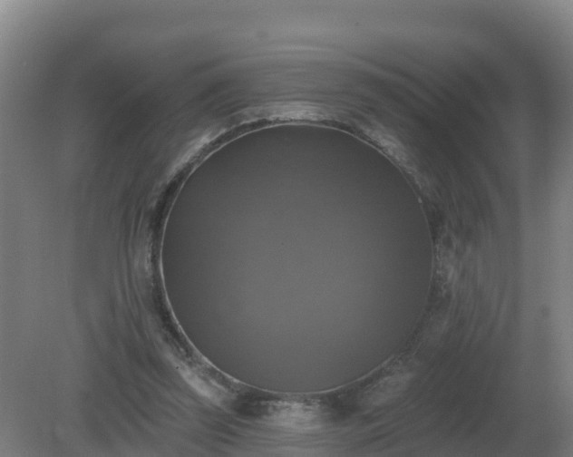 X0000081360347200701182118