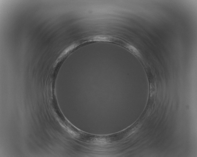 X0000081360349200701182119