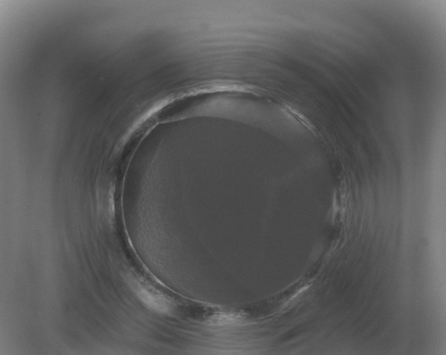 X0000081360350200701182119