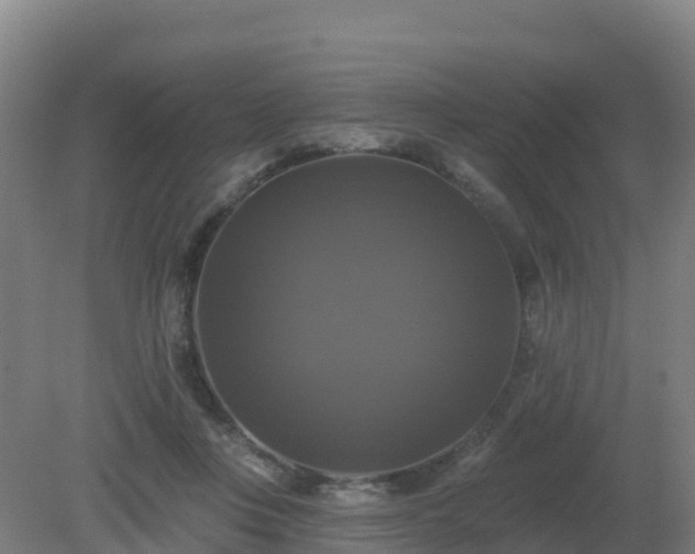 X0000081360359200701182119