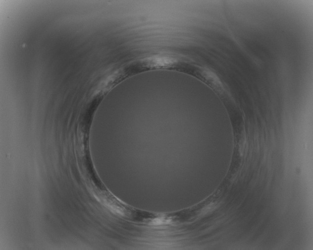 X0000081360366200701182119