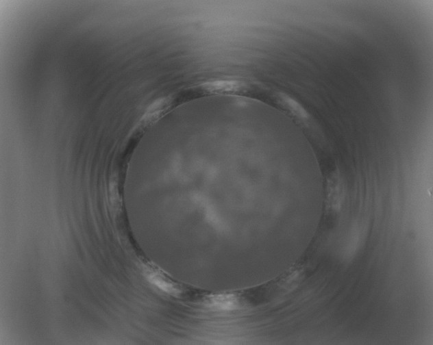 X0000081360377200701182119