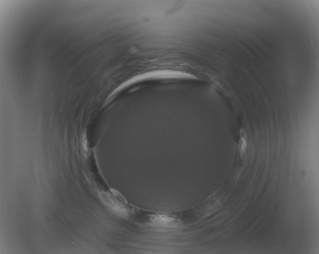 X0000081360380200701182119