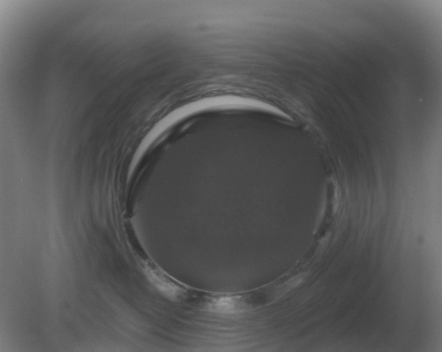 X0000081360382200701182119