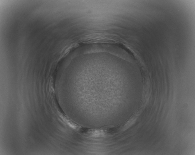 X0000081360384200701182119