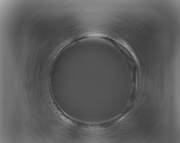 X0000081360385200701182118