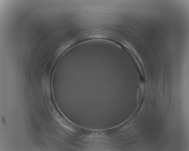 X0000081360386200701182118