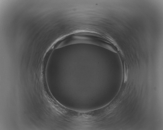 X0000081360387200701182118