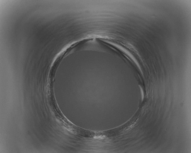 X0000081360388200701182118