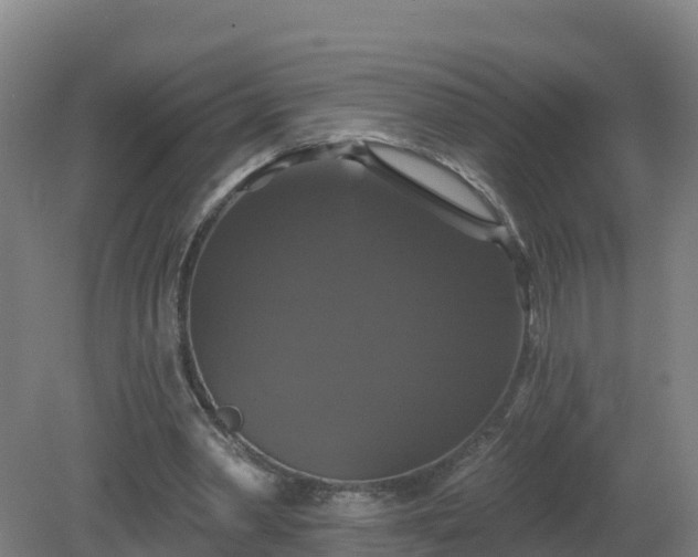 X0000081360390200701182118