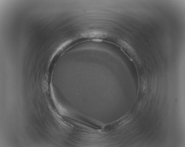 X0000081360392200701182118