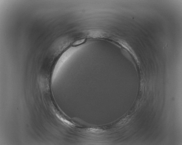 X0000081360393200701182118