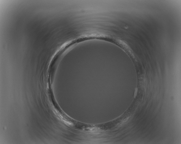 X0000081360395200701182118