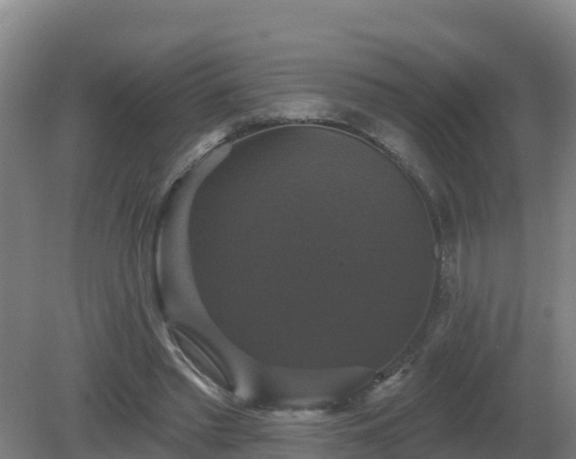 X0000081360397200701182118