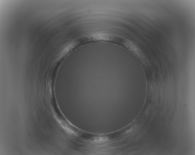 X0000081360398200701182118
