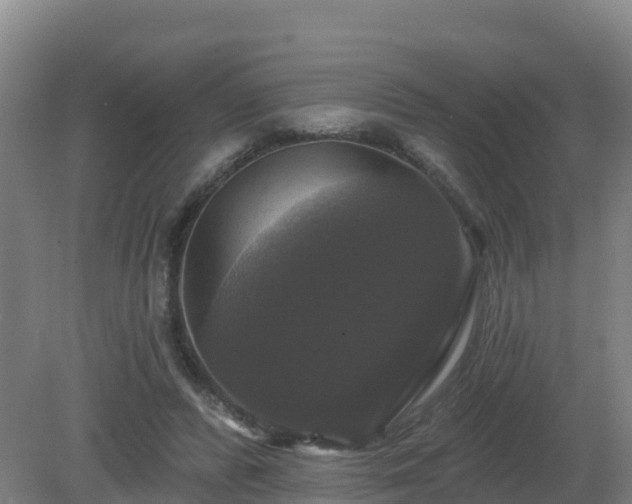 X0000081360400200701182118