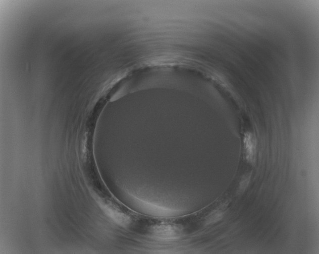 X0000081360404200701182118