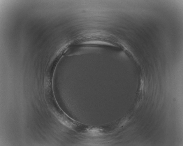 X0000081360407200701182118