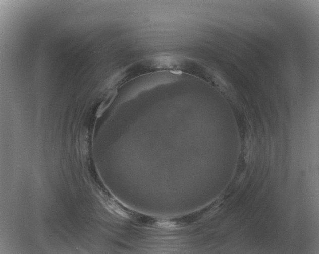 X0000081360413200701182118