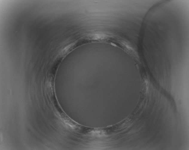 X0000081360415200701182118