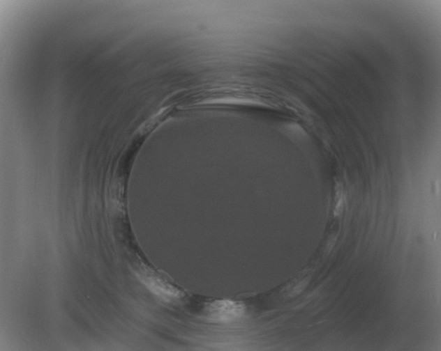 X0000081360421200701182118