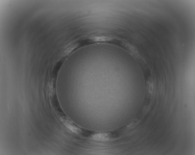 X0000081360422200701182118