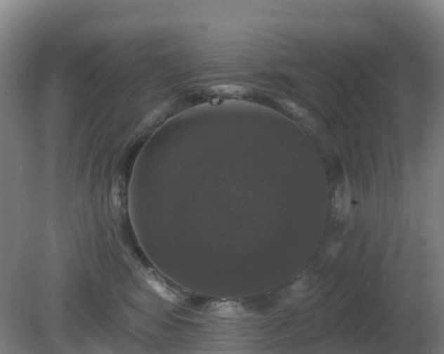 X0000081360424200701182118