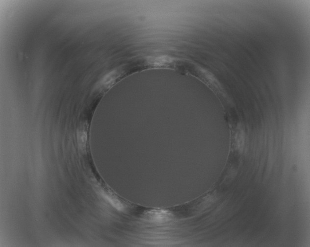 X0000081360427200701182118