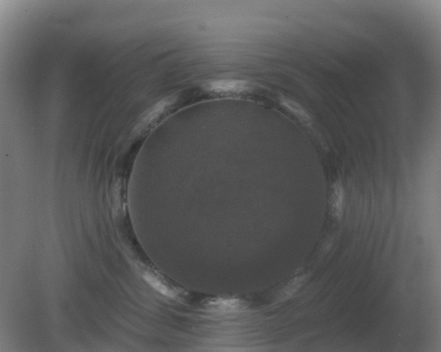 X0000081360428200701182118