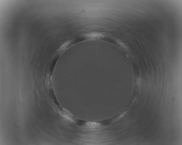 X0000081360429200701182118
