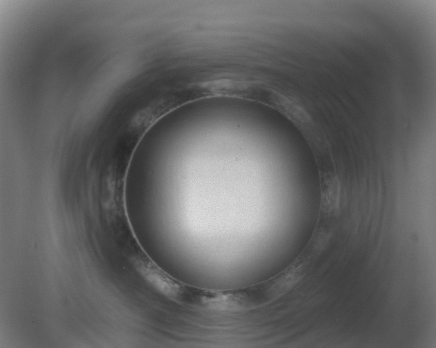 X0000081360430200701182118