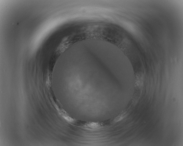 X0000081360431200701182118